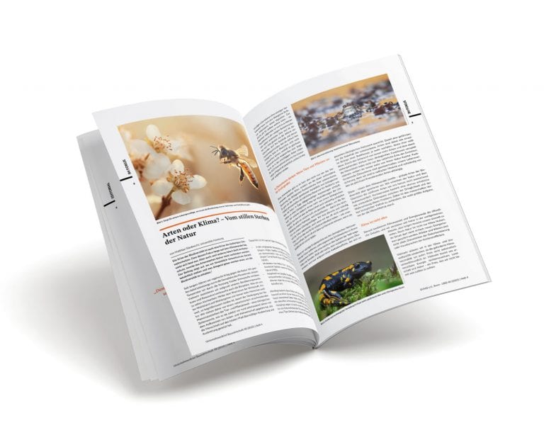 Vielfalt der Tierwelt in der Natur, Blüten, Biene, Salamander, Zeitschrift, Magazin.